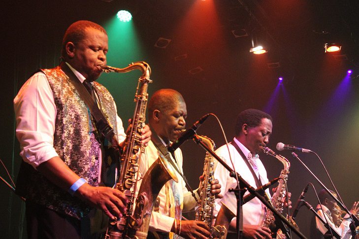 African Jazz Pioneers